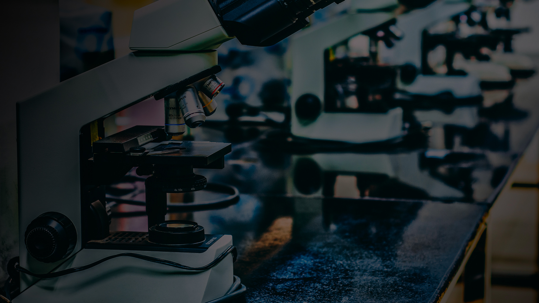 Análise de um quadro